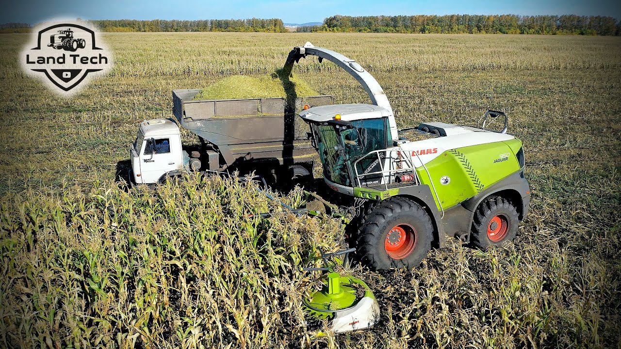 Комбайн CLAAS Jaguar 950 сам загружает кузов! AUTO FILL в действии! Комбайны Jaguar уборка кукурузы! смотреть онлайн