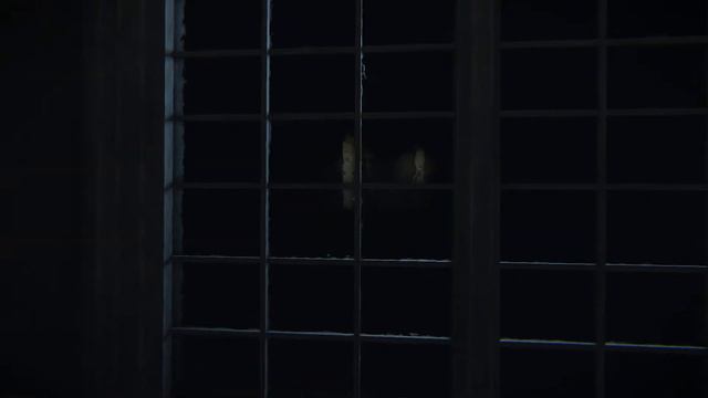 Lears of fear №3 Коридор страха в игре слои страха.. смотреть онлайн