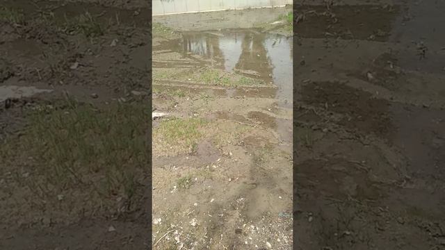 В речке воды нет смотреть онлайн