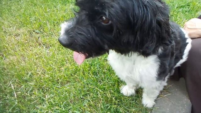 Танцы в ожидании смотреть онлайн