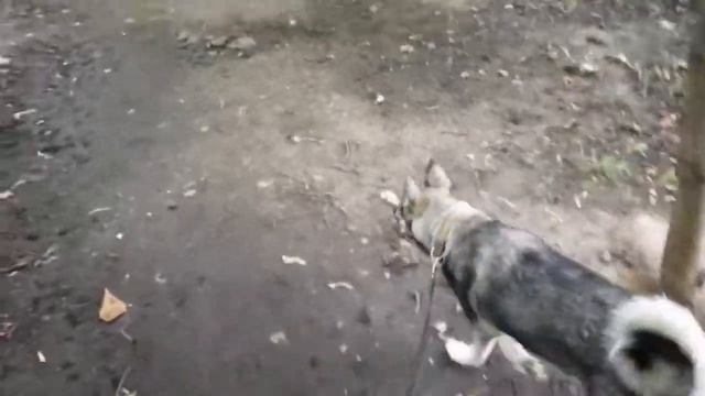 Дожди не дают ни чего делать смотреть онлайн