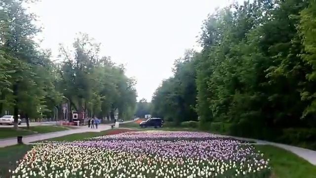 Парк Кузьминки. Куда пойти в выходной. Где провести выходные бесплатно смотреть онлайн