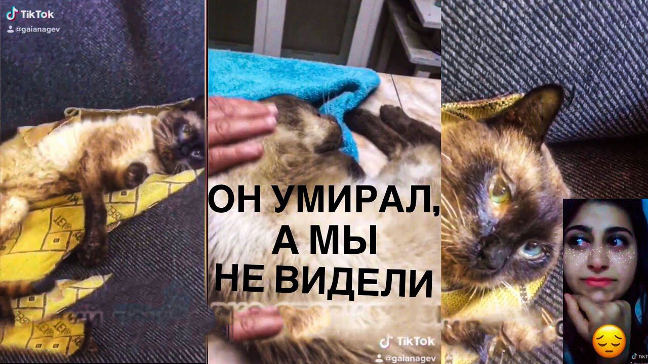 Он очень хотел жить мы сделали все что могли, но было поздно