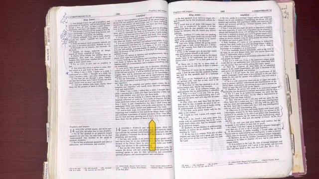 4/9/23, Psalm 101, 1Corinthians 12:1-13:13 (AMPC), Deuteronomy 21:1-22:30 Old & New Testament Read смотреть онлайн