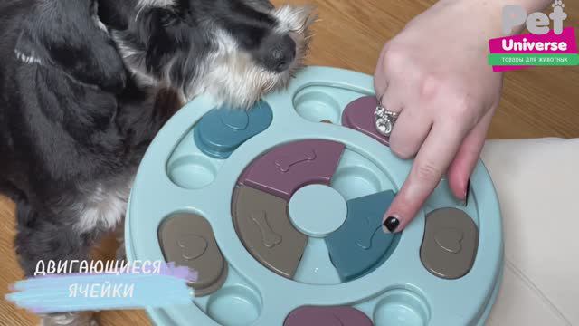 PU1001 Развивающая игрушка для собак и кошек, интерактивная обучающая кормушка смотреть онлайн
