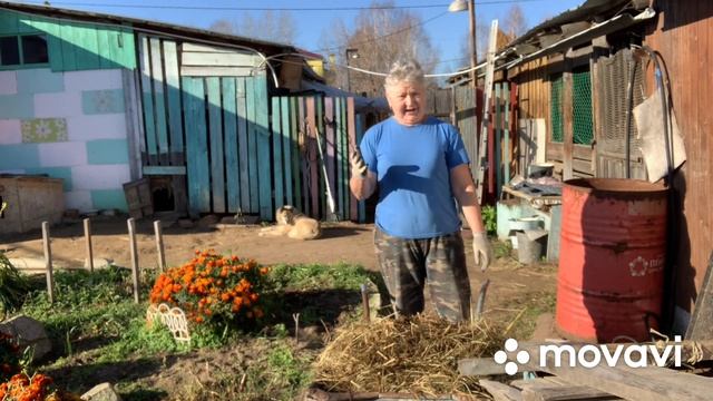 Садим малину осенью//Жара на Урале.Дурака работа любит// смотреть онлайн