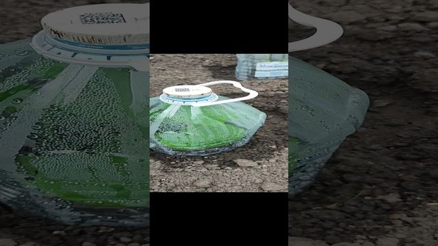 Как уберечь огурцы от заморозков! Лайфхак огородный!???? смотреть онлайн