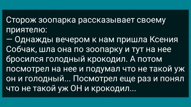 Муж Слушал Как Сосед Любит Его Жену! Сборник Свежих Анекдотов! Юмор! смотреть онлайн