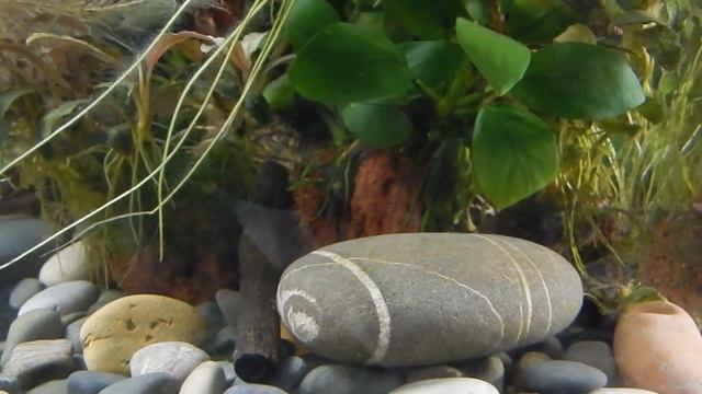 Мифы интернета. Грунт. смотреть онлайн