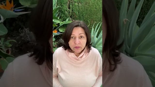 Сценарий жизни смотреть онлайн