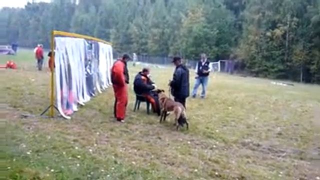 Защита 2, отбор Помощников МР, судья Доминик Питон смотреть онлайн