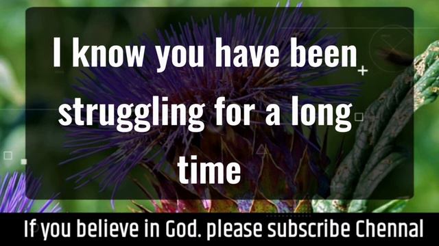 11:11 💌Angels Says Don't Make Mistake By Ignoring Angels Message✝️God Miracles Today 1111 🦋 god msg смотреть онлайн