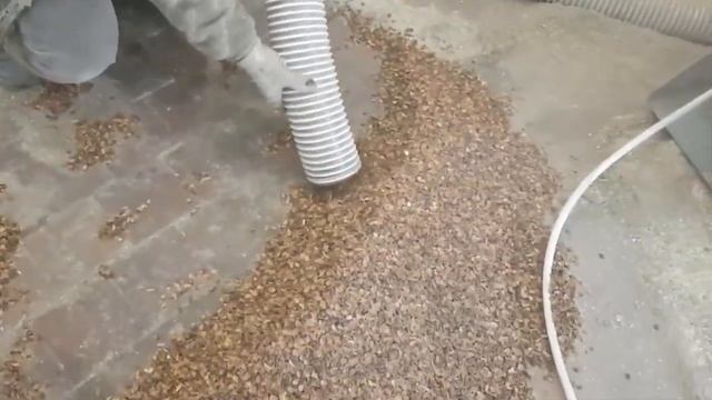 Измельчение шелухи кедрового ореха в крошку на дробилке роторной молотковой вакуумной ДРМ (В) смотреть онлайн