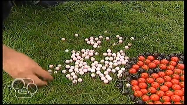 Art Attack (Portugal) - 5x22 - Basebol смотреть онлайн