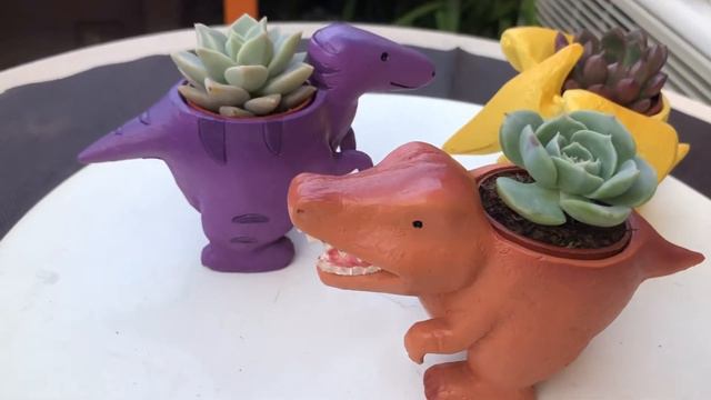 Cute Dino Planter | Succulents Lover смотреть онлайн