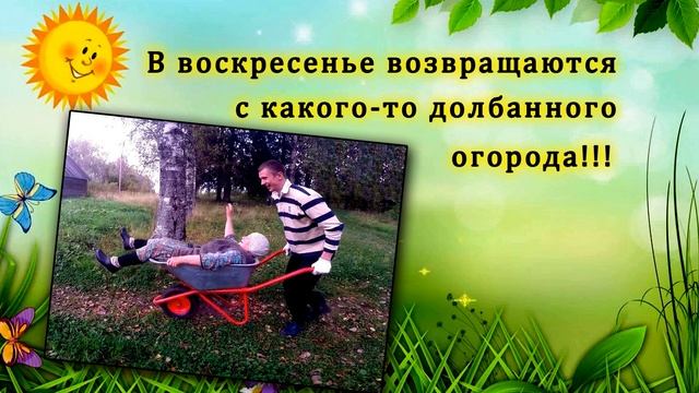 С Днем Дачника. Дачные приколы. Юмор. "Про дачу..." смотреть онлайн