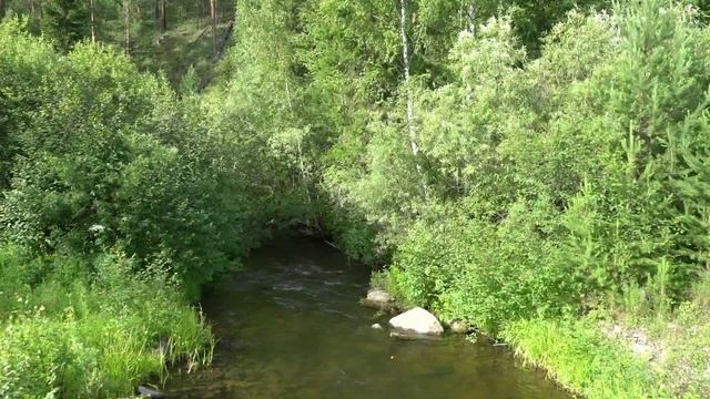 Крупный хариус в маленькой речке смотреть онлайн