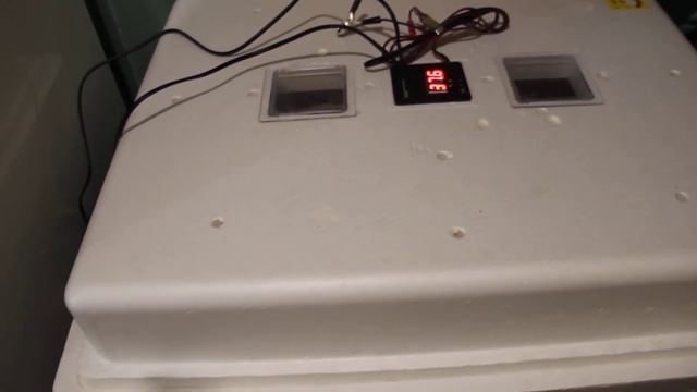 Инкубация куриных яиц, в инкубаторе Несушка-104. смотреть онлайн