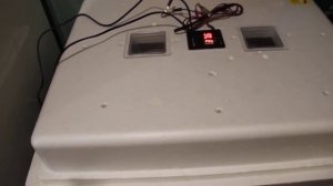 Инкубация куриных яиц, в инкубаторе Несушка-104.