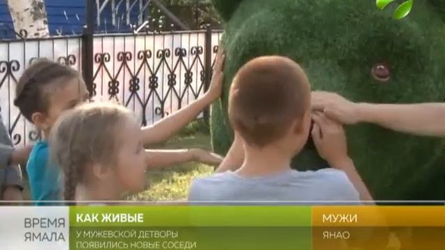 Как назвать? Проголосуем! смотреть онлайн