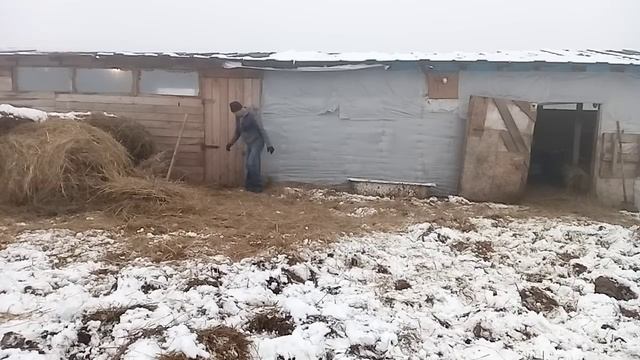 Разница между городом и деревней. смотреть онлайн