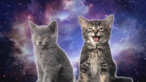 Enjoyker - Space Cats — Magic Fly.