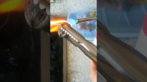 как раскрыть маньчжурский орех.