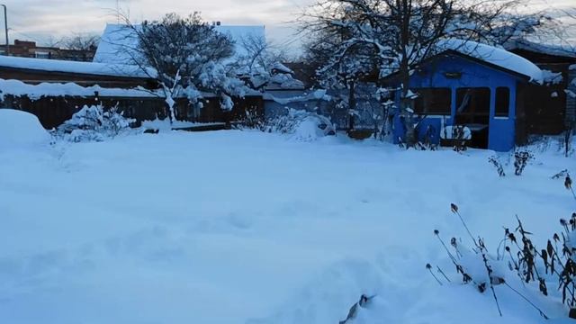 Теперь пёс убегает в огород при любой возможности смотреть онлайн