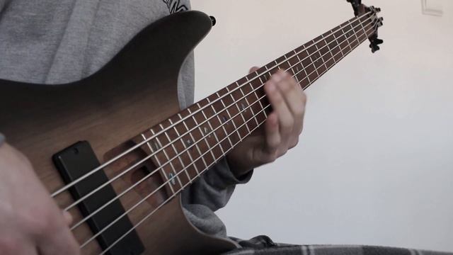 SLEEPS SOCIETY - WHILE SHE SLEEPS Bass Cover смотреть онлайн