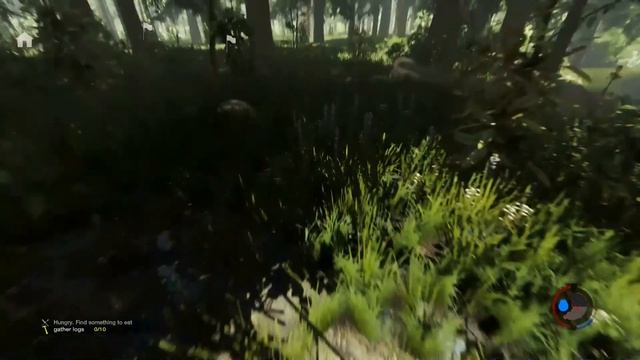 The Forest Обзор обновления 0.17 смотреть онлайн