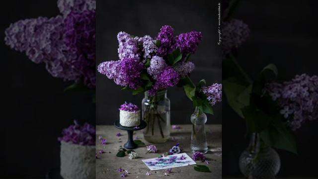 Исаия 45:1-12 смотреть онлайн