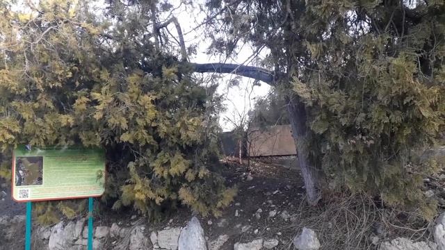 Максимова дача 20 января 2023 смотреть онлайн