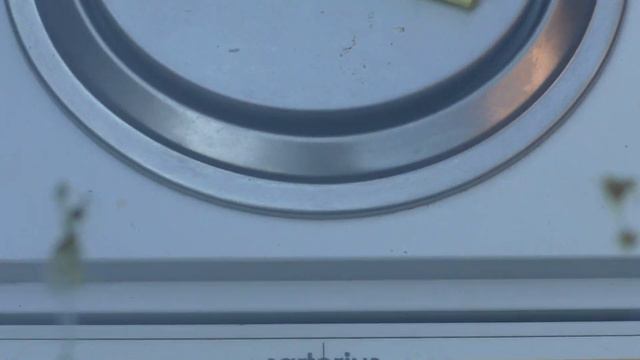 ПОСМОТРИМ ПЛОДНУЮ МАТКУ смотреть онлайн