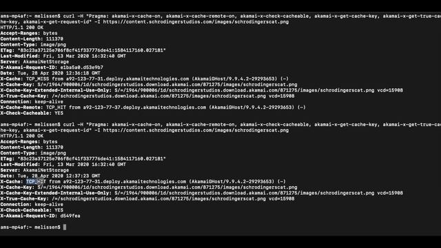 Using CURL to troubleshoot Akamai requests смотреть онлайн