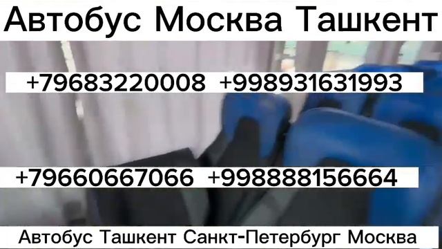 автобус москва-ташкент такси санкт-петербург-ташкент москва-бухара автобус!! +7903329.8483 карши смотреть онлайн