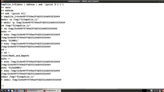 Script Them All 4: Bash Tilde Expansion смотреть онлайн