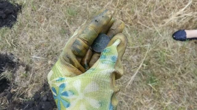 Коп 2019. Монеты 1664 года