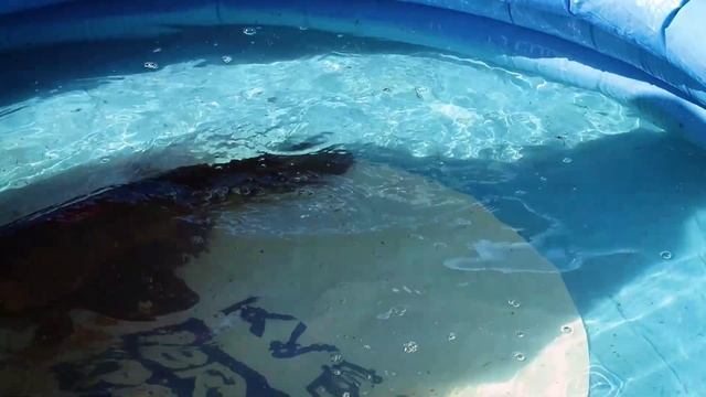 Первый день Турнира Бурый Окунь