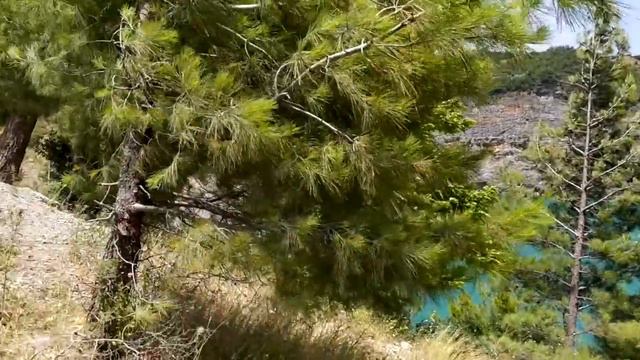 Каньон Сападере | Река Дим-Чай смотреть онлайн