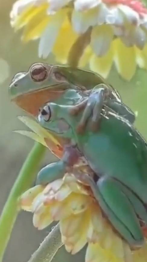 Они любят друг друга❤