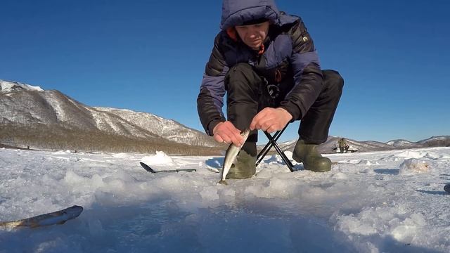 Корюшка на озере Большой Калагирь Камчатка смотреть онлайн