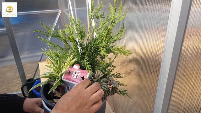 Planting a woodland theme miniature garden/fairy garden смотреть онлайн