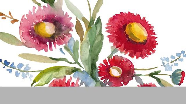 Bouquet With Wildflowers Watercolor Png