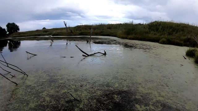 Открытие осенней охоты на утку 2020 #охота#hunting смотреть онлайн