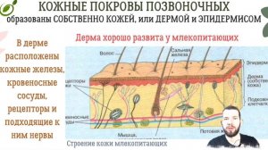 Л.37 | ЗАЩИТА ОРГАНИЗМОВ | ОБЩАЯ БИОЛОГИЯ ЕГЭ