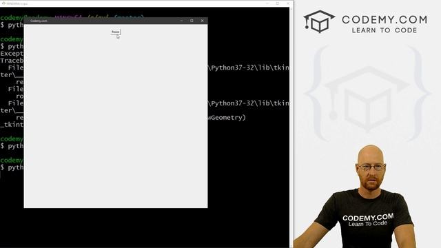 How To Resize A Window Dynamically - Python Tkinter GUI Tutorial #80 смотреть онлайн