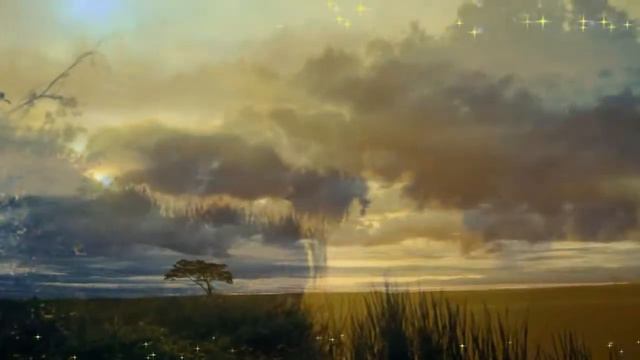 Евгений Дятлов Вороные кони ПЕСНЯ ДЛЯ ДУШИ смотреть онлайн