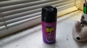 НАШЕСТВИЕ МУХ -БАБОЧНИЦ В КВАРТИРЕ! КОШМАР!