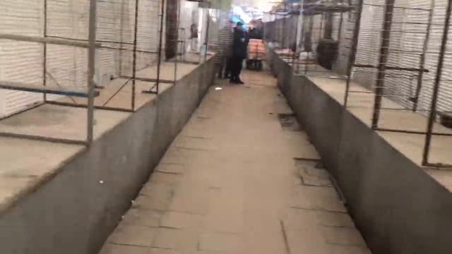 Как работает Барабашово во время карантина смотреть онлайн