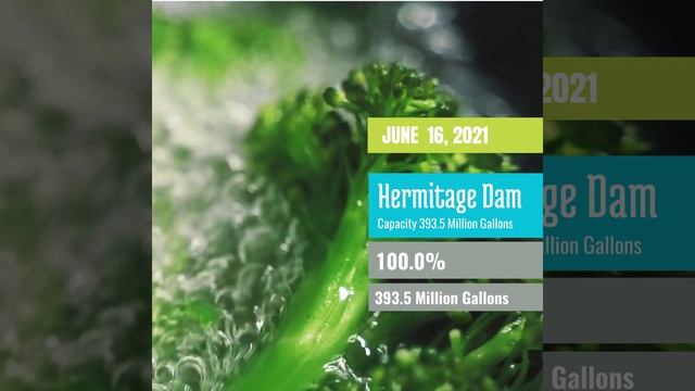 #DamLevels | 16.6.21